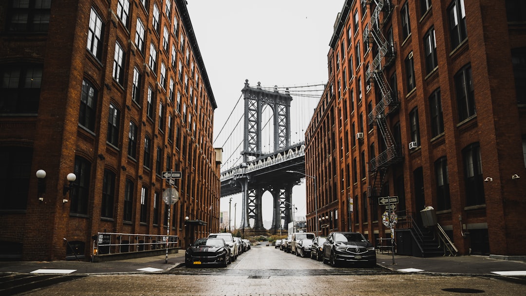 8e41089e-8e64-4e8c-97f4-bdc96517efd6.jpg